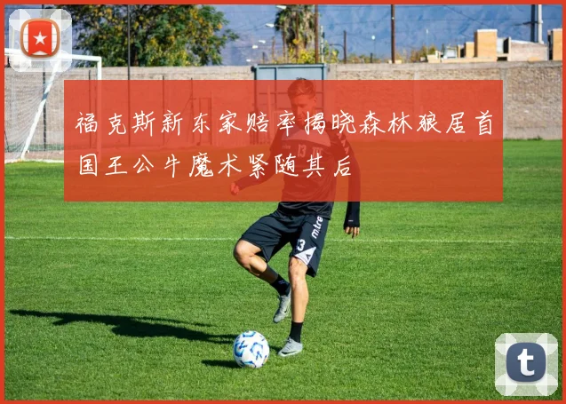 福克斯新东家赔率揭晓森林狼居首国王公牛魔术紧随其后